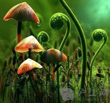 最新科學(xué)減肥方法
