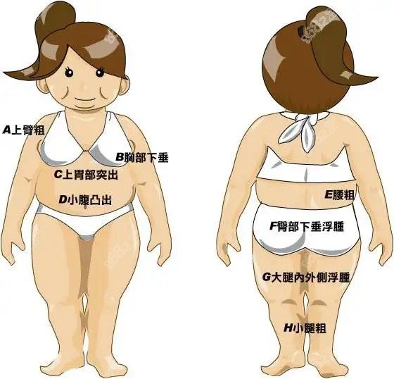 全身抽脂价格一览表公开