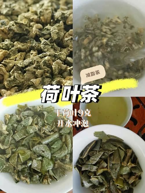 荷葉減肥：有效的方法還是偽科學(xué)？(2)