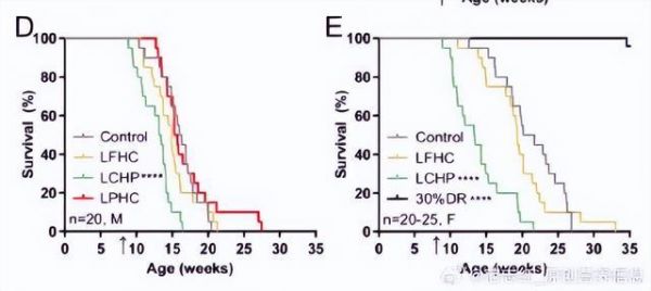 主食吃太少，早死风险增加！真正健康的饮食习惯是……