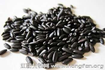 食療養(yǎng)生指南：黑米是藥食兼用的大米長期食用可延年益壽