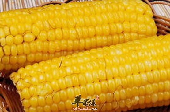 玉米的食療方與保健益處介紹