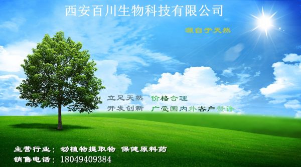 318767-13062PI53453_副本2