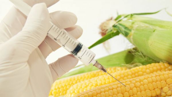 很多人都用玉米須泡水，玉米須水究竟對身體有什么好處？