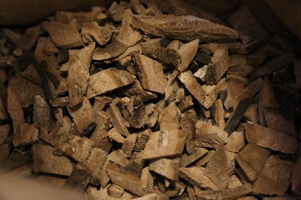 什么中药消脂去油