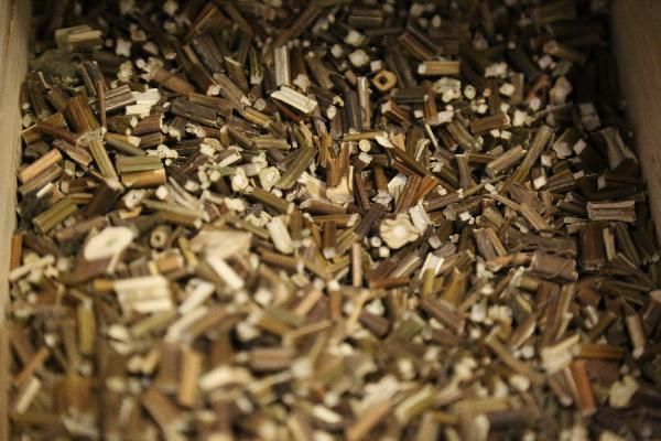 什么中药消脂去油