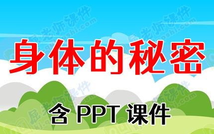 大班健康優(yōu)秀教案反思《身體的秘密》含PPT課件圖片