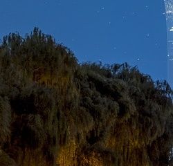 瘦吧專業(yè)減肥靠譜嗎？和大家一起研究這個(gè)問(wèn)題