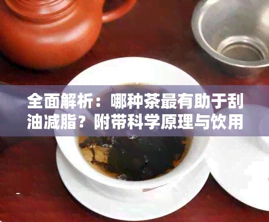 全面解析：哪種茶最有助于刮油減脂？附帶科學原理與飲用建議