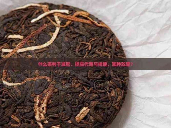 什么茶利于減肥、提高代謝與排便，哪種效果？