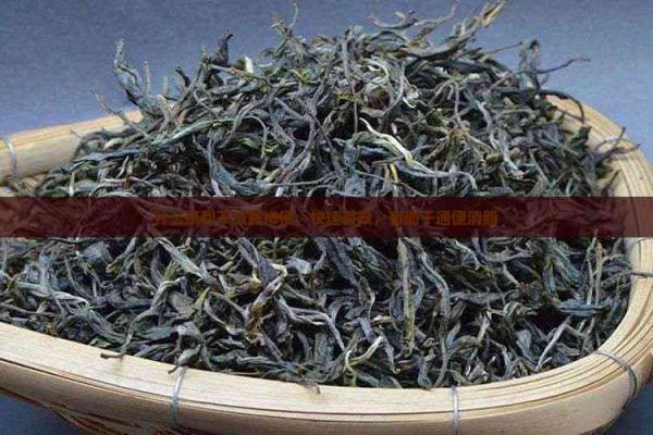 什么茶利于減肥排便，快速有效，有助于通便消脂