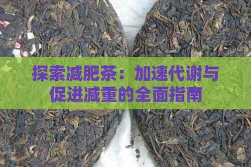 探索減肥茶：加速代謝與促進(jìn)減重的全面指南