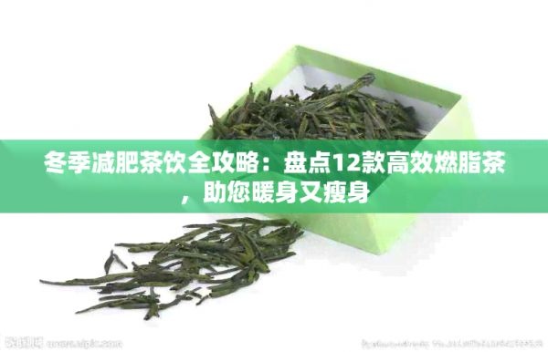 冬季減肥茶飲全攻略：盤點(diǎn)12款高效燃脂茶，助您暖身又瘦身