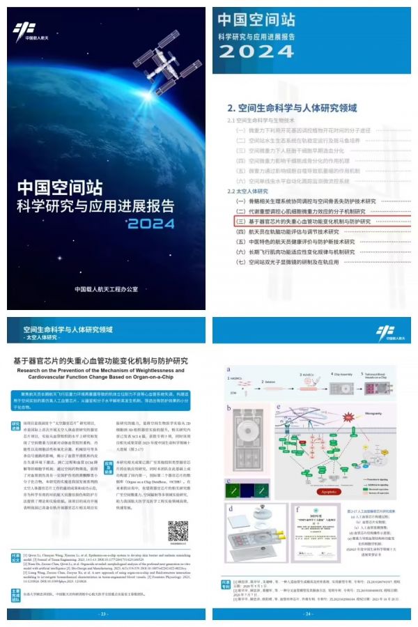 圖：中國“太空器官芯片”項目被列為“太空人體研究七大進展”之一