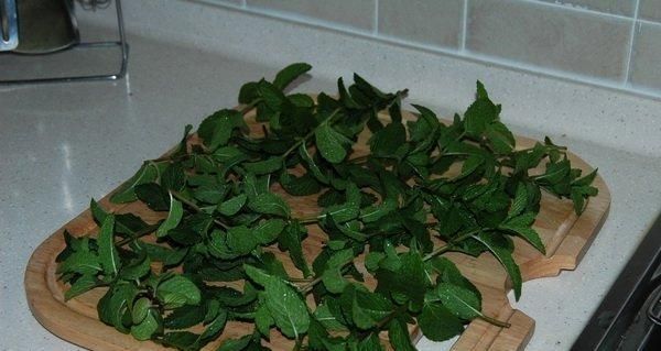 羅勒爆盆養(yǎng)護(hù)指南（如何讓你的羅勒健康成長，讓家里充滿清香）