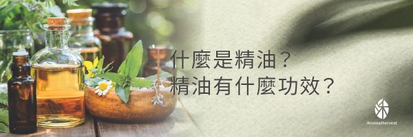 精油愛好者必讀_沐禾芳療AromaHarvest_臺灣唯一取得Ecocert完全有機認證的精油品牌