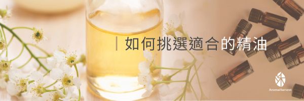 精油愛好者必讀_沐禾芳療AromaHarvest_臺灣唯一取得Ecocert完全有機認證的精油品牌