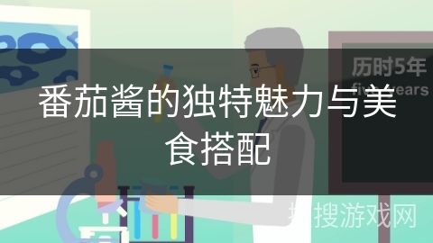 番茄醬的獨特魅力與美食搭配