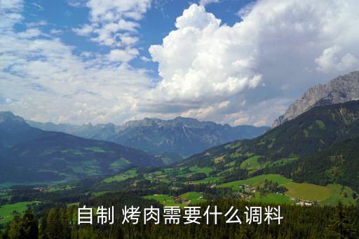 自制 烤肉需要什么調(diào)料
