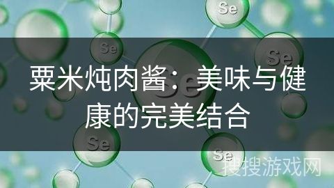粟米燉肉醬：美味與健康的完美結(jié)合