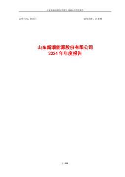 ST新潮:2024年年度报告