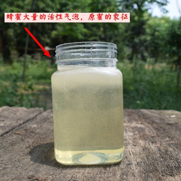 【9xhd.com蜂蜜40】黑豆粉加蜂蜜:周洲家洋槐花蜜純正天然農(nóng)家自產(chǎn)野生成熟正宗真原蜜無(wú)添加土蜂蜜2253