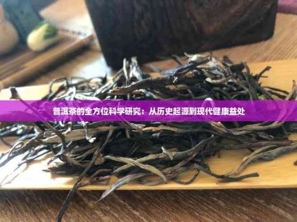 普洱茶的全方位科學(xué)研究：從歷史起源到現(xiàn)代健康益處