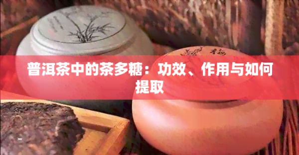 普洱茶中的茶多糖：功效、作用與如何提取