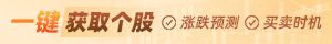 獵鷹看盤
