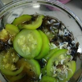 西葫蘆紫菜蝦皮湯 補(bǔ)鈣的冬季減肥食譜