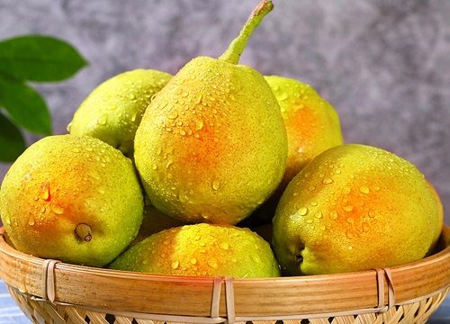 冬季吃什么水果好