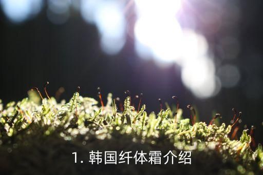 1. 韓國纖體霜介紹