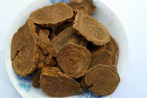 大黃孕婦禁用還是慎用,這些藥物禁忌要了解