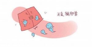 大黃中藥孕婦能不能用(大黃外用對孕婦有影響嗎)