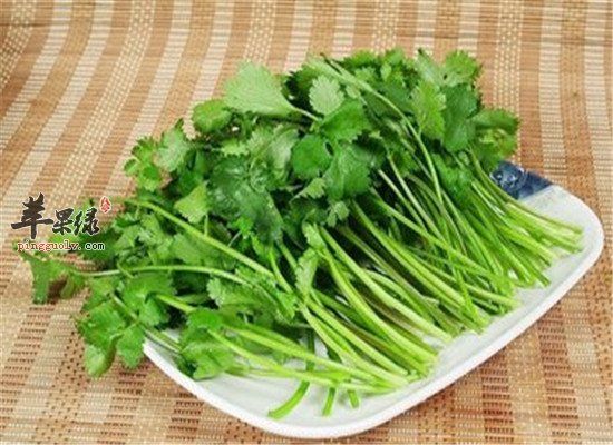 香菜的營養(yǎng)價(jià)值和副作用禁忌