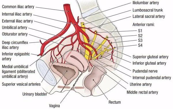 宫颈机能不全怎么检查疼不疼