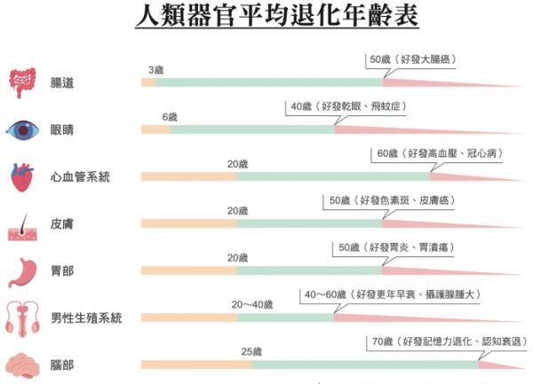 眼睛、腸胃、大腦幾歲開(kāi)始變老？14種人體器官平均退化年齡表，掌握黃金時(shí)間提早預(yù)防_img_1