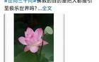 釋永信最后“留言”頗耐人尋味
