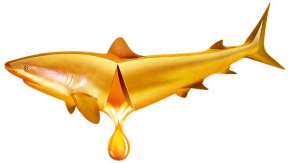魚(yú)油=魚(yú)肝油=D3？ 完全不在一個(gè)頻道 