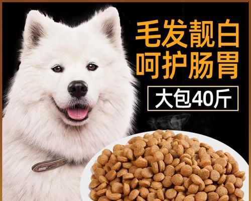 如何幫助以薩摩耶補(bǔ)充鈣質(zhì)？（為你的薩摩耶提供最佳的營(yíng)養(yǎng)補(bǔ)給）