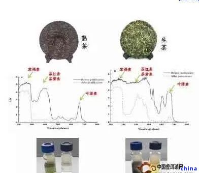 普洱茶的健風(fēng)險(xiǎn)：你需要知道的事實(shí)