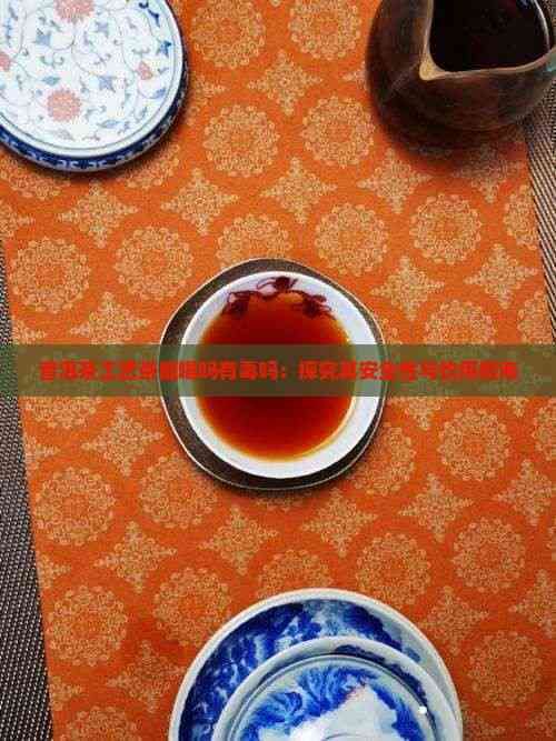普洱茶工藝茶能喝嗎有嗎：探究其安全性與飲用指南