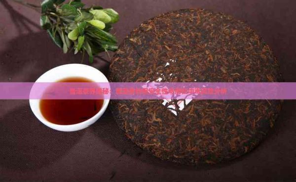 普洱茶界揭秘：普洱茶飲用安全性與潛在中風險分析