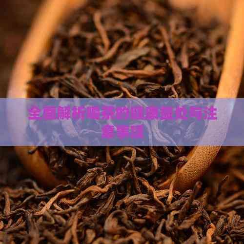全面解析喝茶的健康益處與注意事項(xiàng)