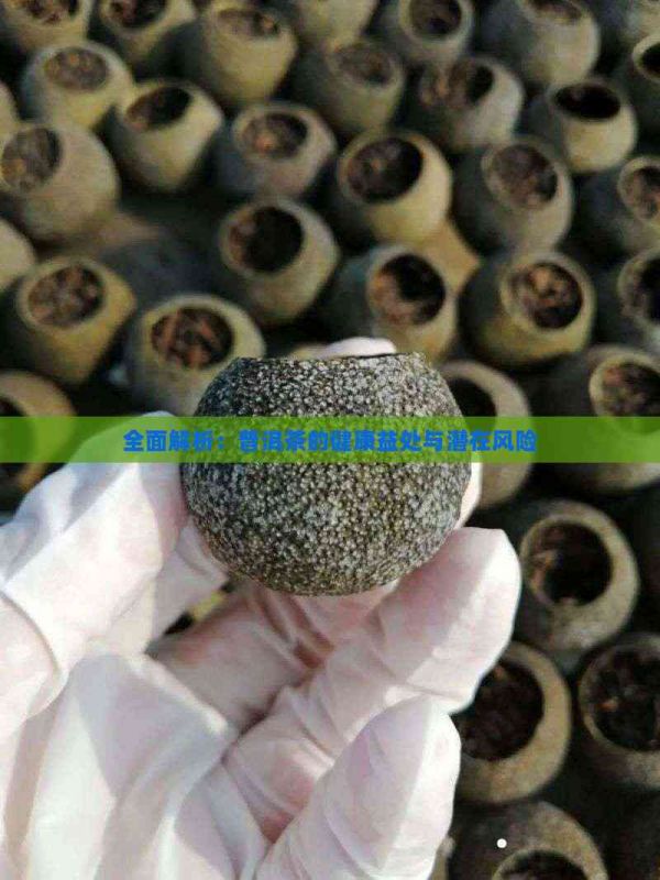 全面解析：普洱茶的健康益處與潛在風險