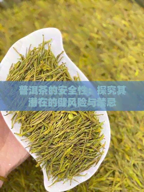普洱茶的安全性：探究其潛在的健風(fēng)險(xiǎn)與禁忌