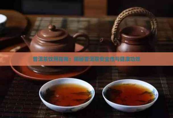 普洱茶飲用指南：揭秘普洱茶安全性與健康功效