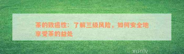 茶的致癌性：了解三級(jí)風(fēng)險(xiǎn)，如何安全地享受茶的益處