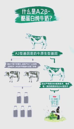 圖片2
