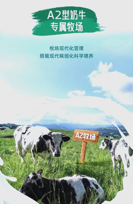圖片3